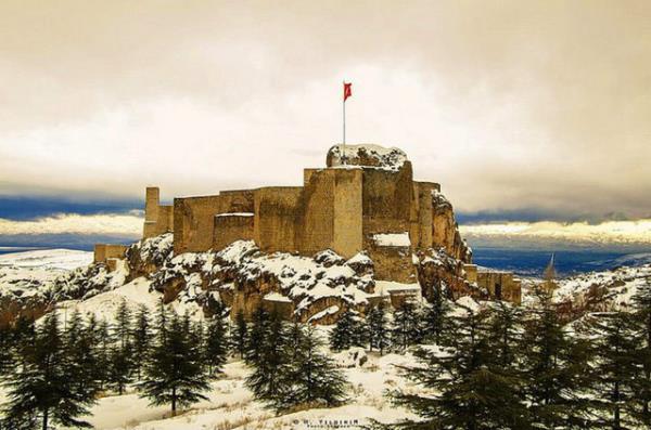 elazig Web Tasarım