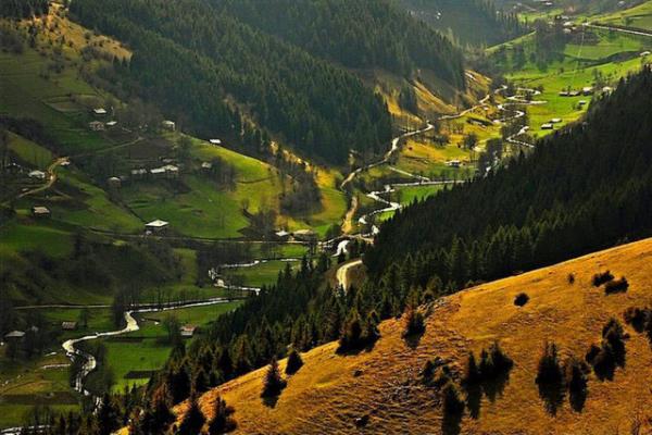 giresun Web Tasarım